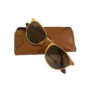 Ray-Ban Erika Metal Sunglasses